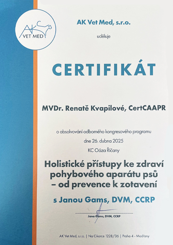 Holistické přístupy ke zdraví pohybového aparátu psů - od prevence k zotavení