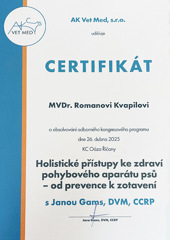 Holistické přístupy ke zdraví pohybového aparátu psů - od prevence k zotavení